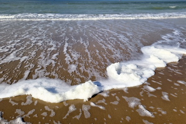 Excursion à Ostende