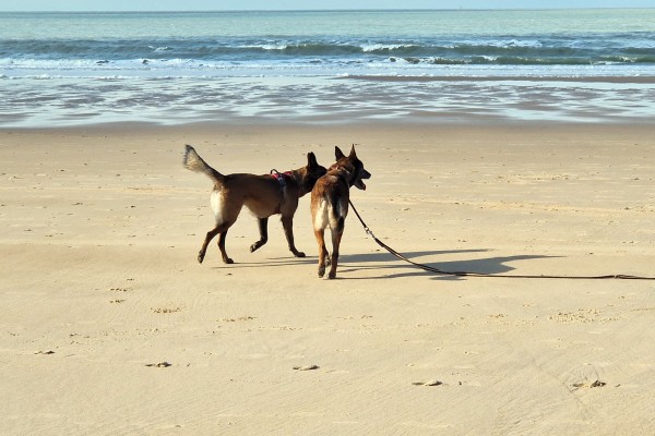 Excursion à Ostende