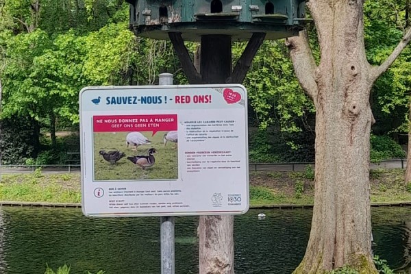 Projet socio-artistique 2024: Cohabiter avec les oiseaux
