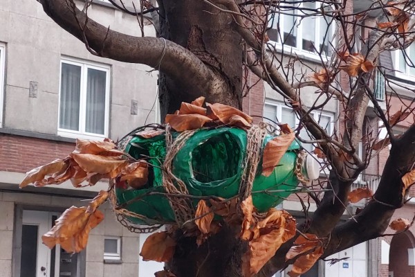 Projet socio-artistique 2024: Cohabiter avec les oiseaux