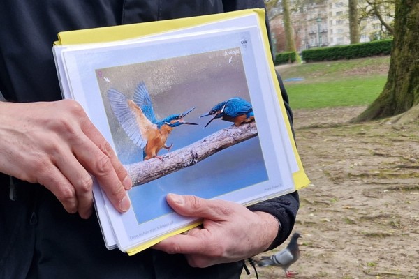 Projet socio-artistique 2024: Cohabiter avec les oiseaux